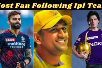 most fan following team in ipl