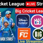 Big Cricket League 2024