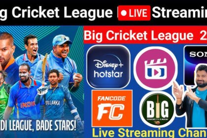 Big Cricket League 2024